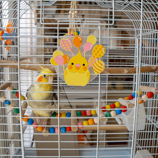 オカメインコ,新商品買ったよ！,Instagram→r_6cafe,インコのいる暮らし 4sistersの部屋