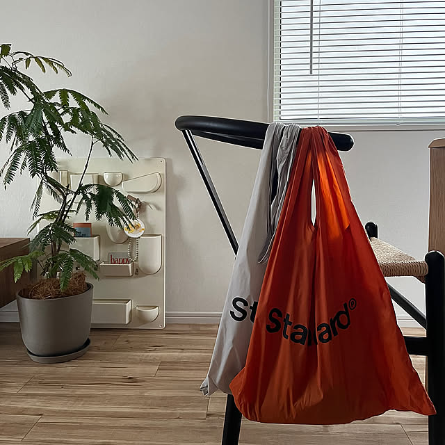 Lounge,購入品,Standard Products,スタンダードプロダクツ,観葉植物,雑貨,DIY,北欧インテリア,海外インテリア,建売住宅,韓国インテリア,和モダン,japandi chiiの部屋