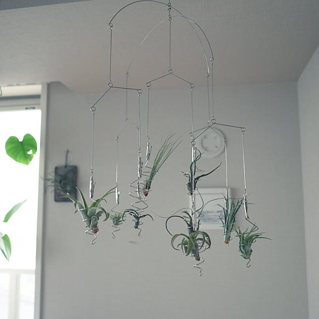 Bedroom,チランジア,エアプランツ,モビール abeの部屋