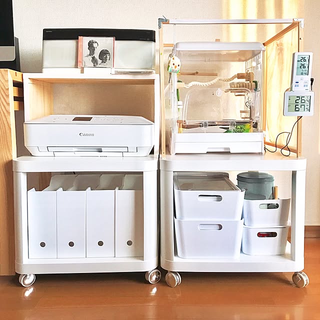 プリンター,セキセイインコ,インコ,インコと暮らす,IKEA,ニトリ,My Desk shirokinaの部屋