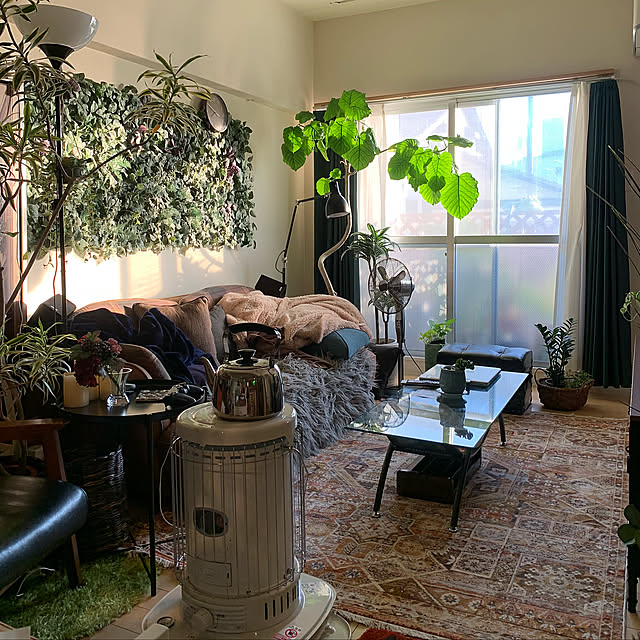 Lounge,観葉植物,照明,ソファ,朝,IKEA,雑貨,キャンドルライト,一人暮らし,フェイクグリーン cocoa-locoの部屋