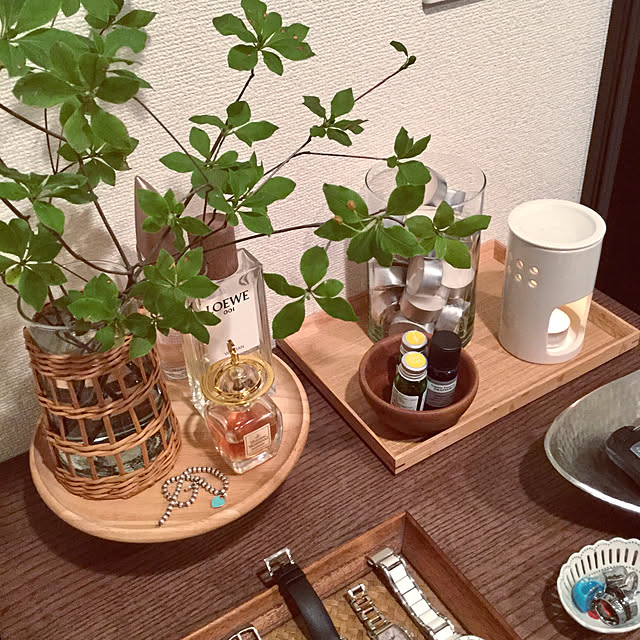 Entrance,植物のある部屋,無印良品,花瓶,A-frat,香水瓶,時計 chapiの部屋