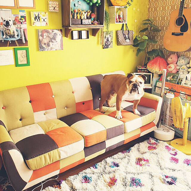 Lounge,カラフルな部屋,一人暮らし,レトロポップ,ペット,愛犬家,愛犬と暮らす家,レトロ,ブルドッグ ayucchiの部屋