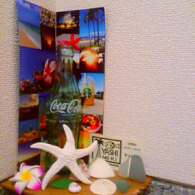 Bathroom,トイレの棚,トイレ,お気に入りスペース,シェル,スターフィッシュ,ビーチコーミング,旅の思い出,コカ・コーラの瓶,BEACH STYLE Eightの部屋