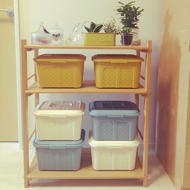 My Shelf,ガラス 小物,観葉植物,100均,ダイソー,一人暮らし,ガラスの靴,雑貨 mikaの部屋