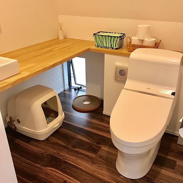 Bathroom,猫ドア,猫トイレ,TOTO,ねこと暮らす。,猫のいる暮らし,ねこのいる日常 kaedeの部屋