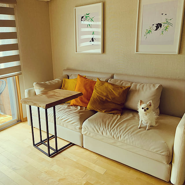 パンダ好き,チワワのいる暮らし,アートパネル,ホワイトインテリア,IKEA,DIY,Lounge siruの部屋