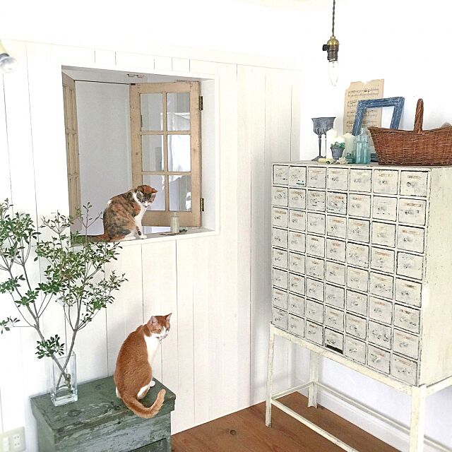 My Shelf,アトリエ,シンプル,漆喰,ナチュラルフレンチ,植物のある暮らし,窓,ナチュラル,白,グリーンのある暮らし,アンティーク,猫 midoriの部屋