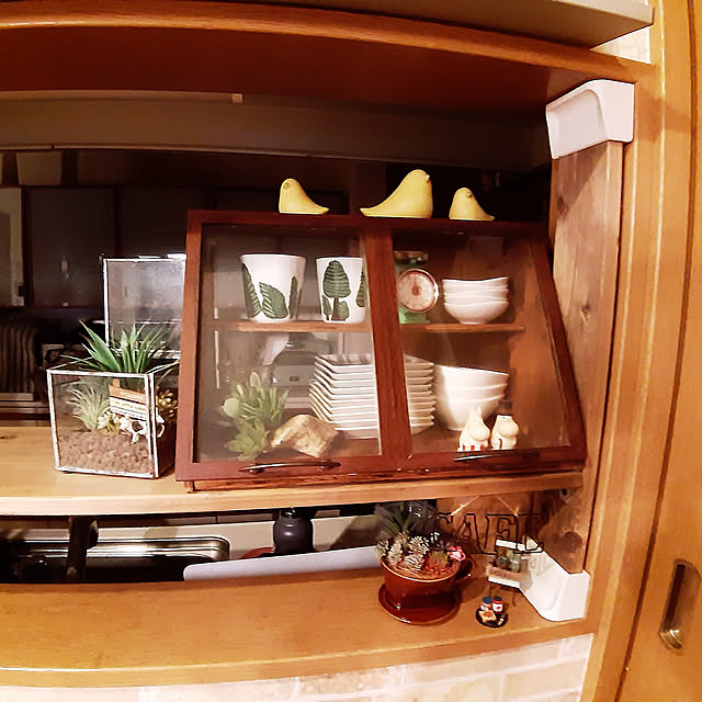 Kitchen,DIY,セリア,雑貨,北欧,100均,フェイクグリーン,マリメッコ,ニトリ,フォトフレームでガラスケース風 hacchiの部屋