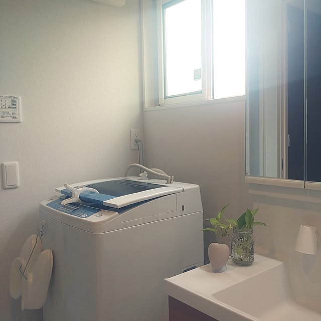 Bathroom,使い方いろいろ,洗面台,洗濯機,洗濯バサミ,大きい洗濯バサミ,湿気対策,カビ対策,観葉植物,植物 tan5の部屋