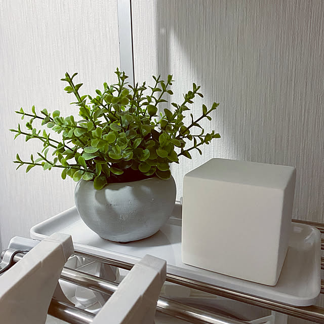 玄関 消臭剤,観葉植物,CUBEO,消臭剤,フェイクグリーン,ニトリ,ホワイト,モノトーンインテリア,ワンルーム,ひとり暮らし,モノトーン,一人暮らし,1R,1人暮らし,Entrance,セメントポット tomokiの部屋