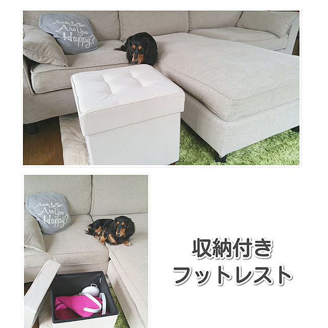 Lounge,収納付きスツール,犬,ソファ 773の部屋