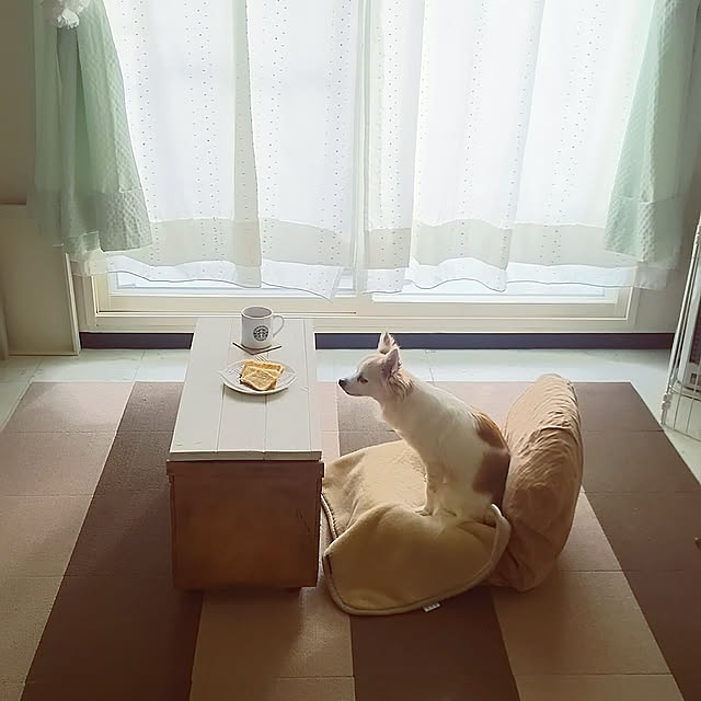 Lounge,10000人の暮らし,リンゴ箱,代用品,くつろぎスペース,ソファのない生活,いぬと暮らす,サンコー,おくだけ吸着,ソファーがなくても,座椅子 nonの部屋