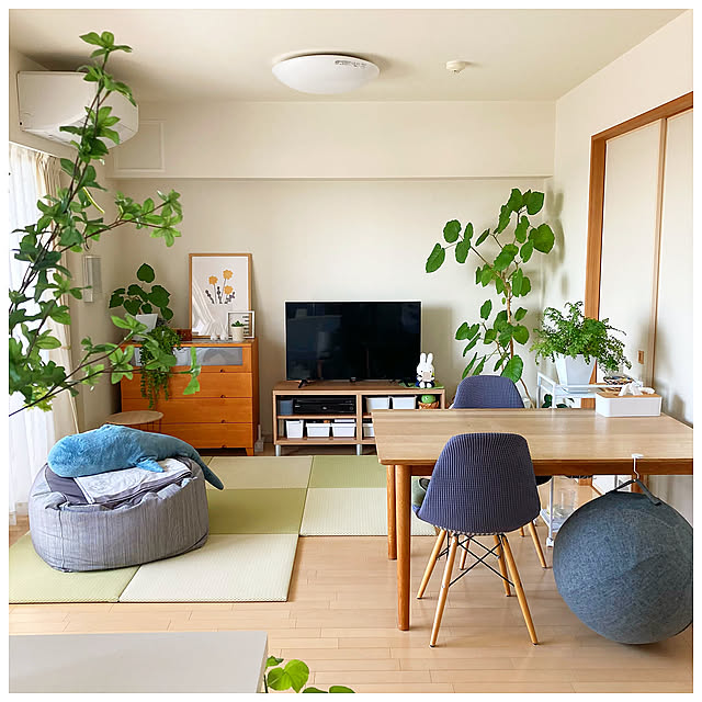 Lounge,うさぎとの暮らし,うさぎのいる生活,初夏のリビング,リビング模様替え,リビングに置き畳 ksfioriの部屋