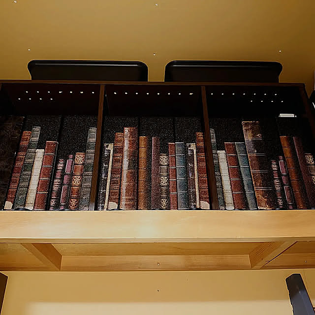 My Shelf,リメイク,ダイソーリメイクシート,押入れリメイク,ダイソー,ファイルボックス,ファイルボックスリメイク,洋書風,洋書ディスプレイ,ファンタジー,押入れ収納 Rayneの部屋