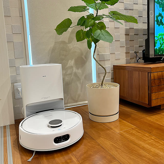 Lounge,ウンベラータ,観葉植物のある暮らし,観葉植物,お掃除ロボットのいる生活,お掃除ロボットの置き場所,お掃除ロボットで床に物を置かない生活に,お掃除ロボット,水拭き,床掃除,S10,ロボット掃除機,スイッチボット,SwitchBotのある暮らし,SwitchBot,2025年,北欧,北欧インテリア toyoの部屋