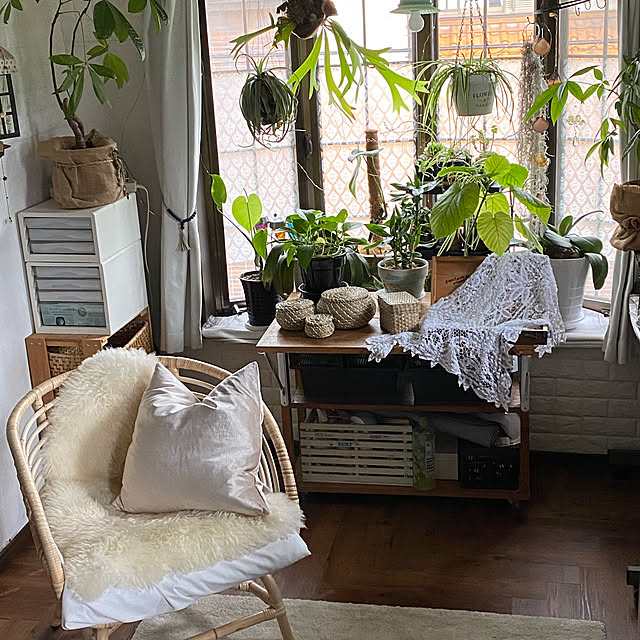 Rustic,botanicaldecor,ボタニカルインテリア,インスタはdainaorei12,DIY女子,築30年超,DIY,NO GREEN NO LIFE,観葉植物のある暮らし,IKEA,フロアタイルDIY,Lounge dainaoreiの部屋