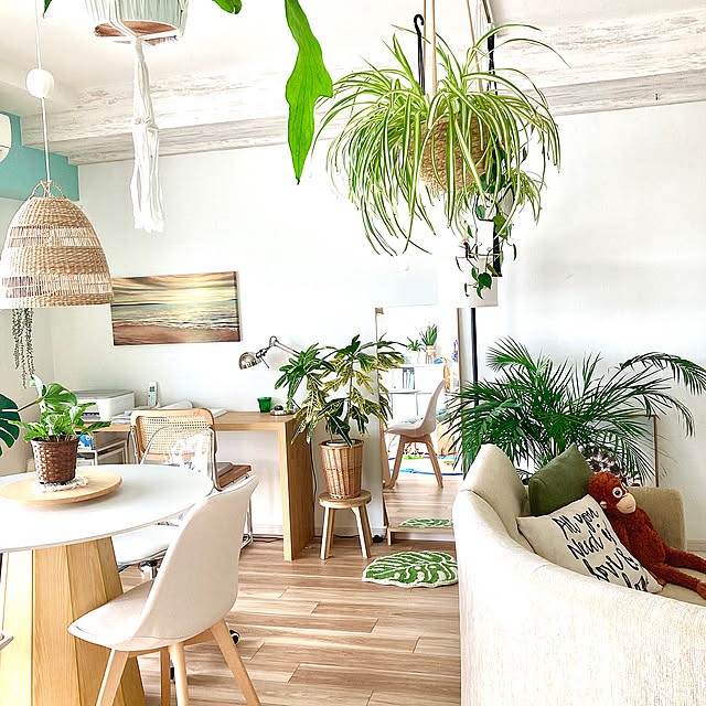 Lounge,観葉植物,IKEA,フェイクグリーン,リノベーション,ソファ,グリーン,グリーンのある暮らし,円形ダイニングテーブル,セラミック天板,モンステラ,アレカヤシ sariの部屋