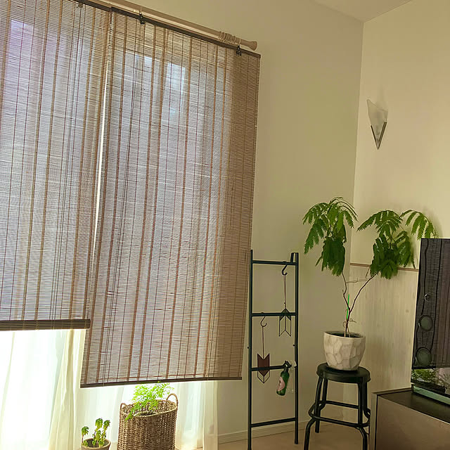 Lounge,節電,木のぬくもり IroDoriの部屋