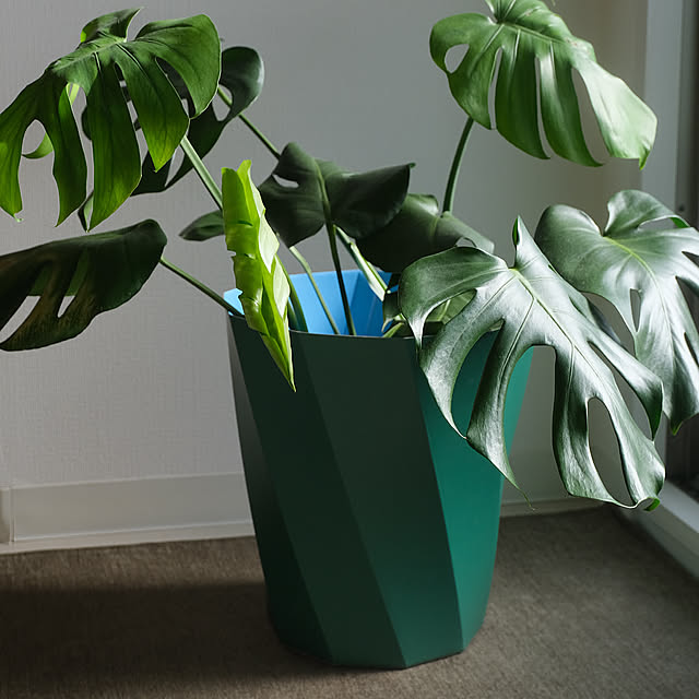 Lounge,植木鉢,モンテスラ,北欧家具のある暮らし,北欧家具,北欧雑貨のある暮らし,HAY,ゴミ箱,観葉植物,一人暮らし,植物のある暮らし,緑のある暮らし,北欧,CasaBRUTUS,カフェ風,IKEHIKOカーペット,IKEHIKO sshogの部屋
