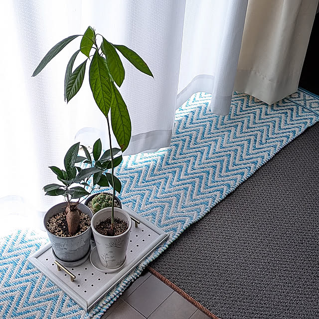 Overview,アボガド栽培中,しまむらのキッチンマット,しまむら,日焼け対策,キッチンマット,幾何学模様,庶民的な家,せまいおうち,見てくれてありがとうございます♡ yukkin29の部屋