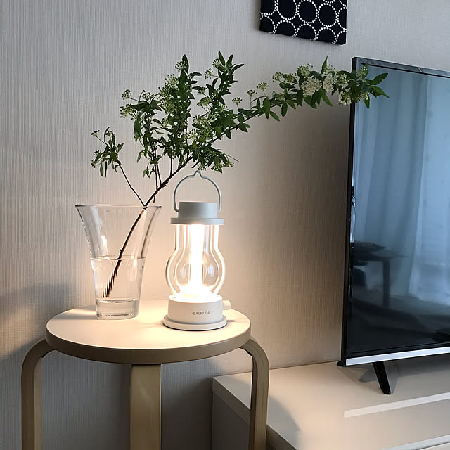 照明,バルミューダ,ランタン　バルミューダ,花瓶,子供のいる暮らし,お掃除しやすく,家族で暮らす,マンション暮らし,テレビ台,心地よい暮らし,テレビボード,清潔に保ちたい,こでまり,シンプルインテリア,すっきり暮らす,Overview,ランタン,フラワーベース rocoの部屋