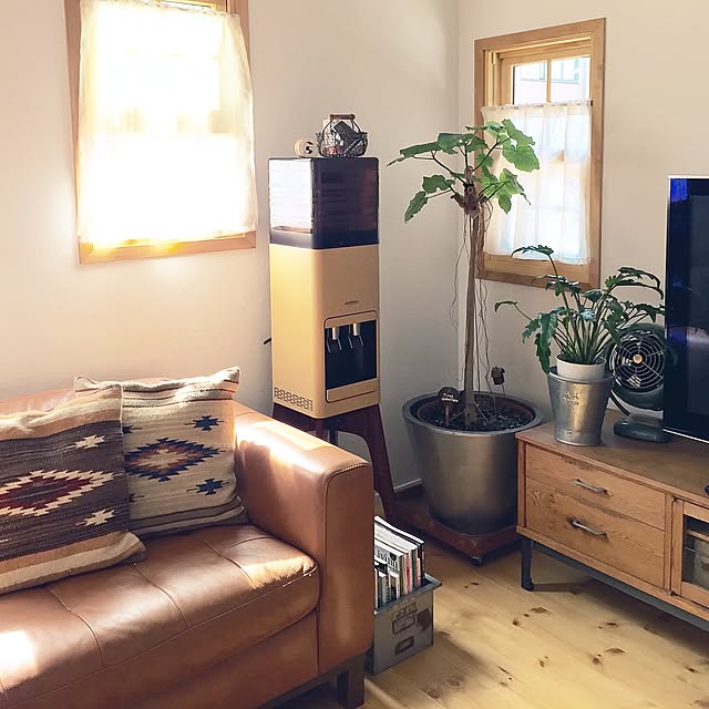 Lounge,アマダナのウォーターサーバー,観葉植物,NORDICO,無垢の床,珪藻土壁,アンティーク缶 yumiの部屋