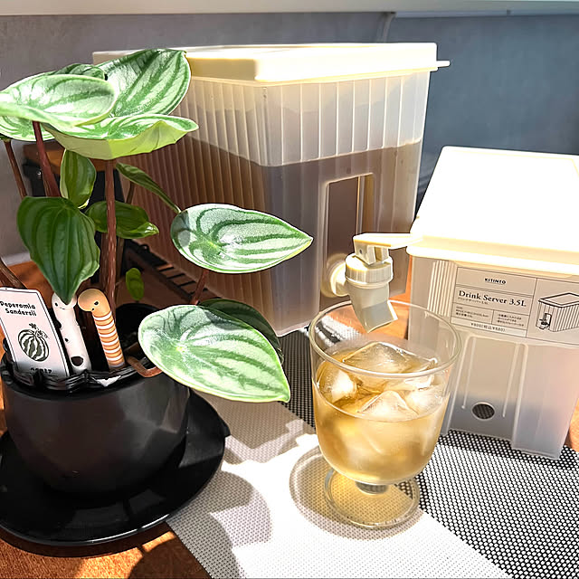 Kitchen,Daiso,3COINS,スリーコインズ,夏の風物詩,麦茶の季節,麦茶入れ,麦茶パック収納,伊藤園のむぎ茶,ドリンクサーバー,麦茶ボトル,麦茶,DAISO商品 ya-coの部屋