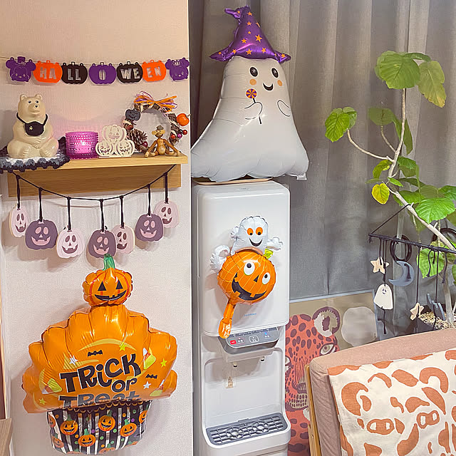 My Shelf,しろくま貯金箱,カステヘルミキャンドルホルダー,ハロウィンリース,ハロウィンディスプレイ,3COINS,キャンドゥ,100均,ハロウィン,北欧,イッタラ,Iittala,北欧雑貨,3歳児,こどものいる生活,こどものいる暮らし,3歳9ヶ月,ダイソー,観葉植物のある暮らし,ウンベラータ mugi1123の部屋