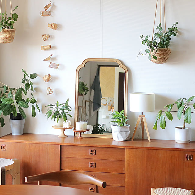 Lounge,ルームツアー,観葉植物のある暮らし,北欧ヴィンテージ,北欧ナチュラル ayucoの部屋