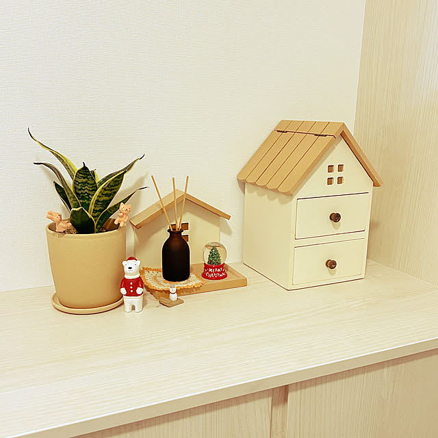 Entrance,クリスマス,観葉植物,無印良品,salut! cocoaの部屋