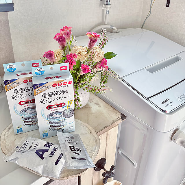 Bathroom,お気に入り洗剤,縦型用とドラム用があります,洗濯機はPanasonic,洗濯槽のカビ予防,洗濯槽の掃除,定番アイテム Re_の部屋