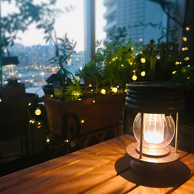 間接照明,花のある暮らし,緑のある暮らし,犬と猫のいる暮らし,癒しの空間,ベランダガーデニング,ベランダガーデン,ベランダガーデン計画,ベランダインテリア,コーヒースペース molpieの部屋