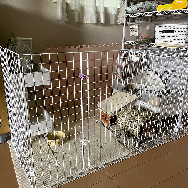 Lounge,DIY,ダイソー,うさぎのいる生活 mogukoroの部屋
