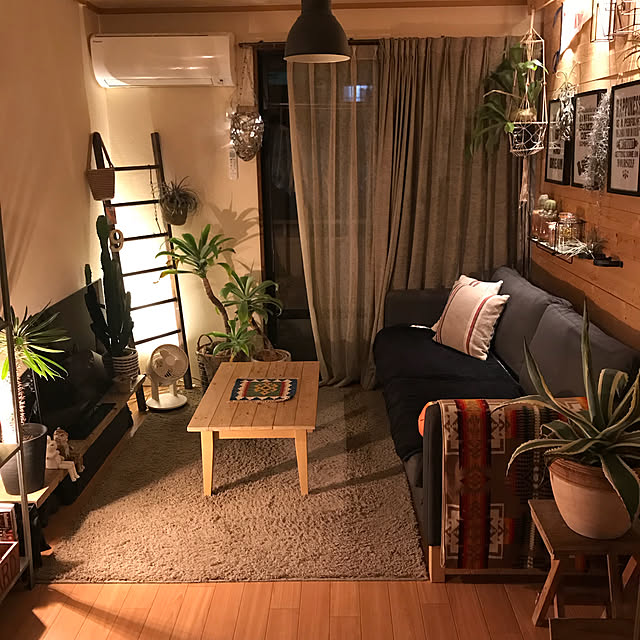 Lounge,間接照明,二人暮らし,賃貸,植物,植物のある暮らし,グリーンのある暮らし,サボテン,アガベ,ラダーＤIY,パキポディウム,ユーフォルビア,無印良品ラグ,パキポディウム ラメリー,アガベアメリカーナ,観葉植物,ディッキア,アルファベットオブジェ,NO GREEN NO LIFE,ディアウォール DIY,コウモリラン,アガベアテナータ,IKEAソファ,ペンドルトン,WECK,エアプランツ blueprintの部屋