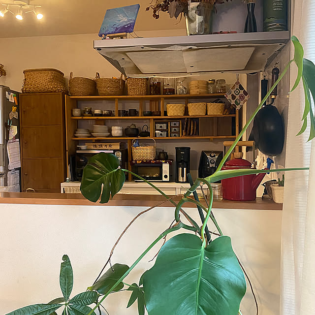Kitchen,お気に入りの食器,お気に入りの器,お気に入りの場所,モンステラ,食器棚DIY,食器収納,食器好き,食器棚,カフェ風インテリア,ニトリ,壁面収納,かご収納,三姉妹,田舎暮らし,平屋暮らし,三姉妹の母,五人家族,古道具,古道具×GREEN,観葉植物のある暮らし,古道具のある暮らし kotaroの部屋