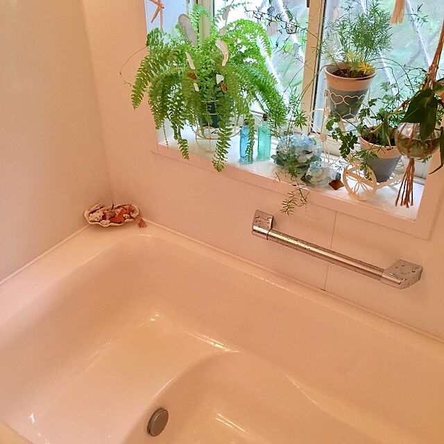 お風呂で一日の疲れを癒したい バスルームの工夫 Roomclip Mag 暮らしとインテリアのwebマガジン