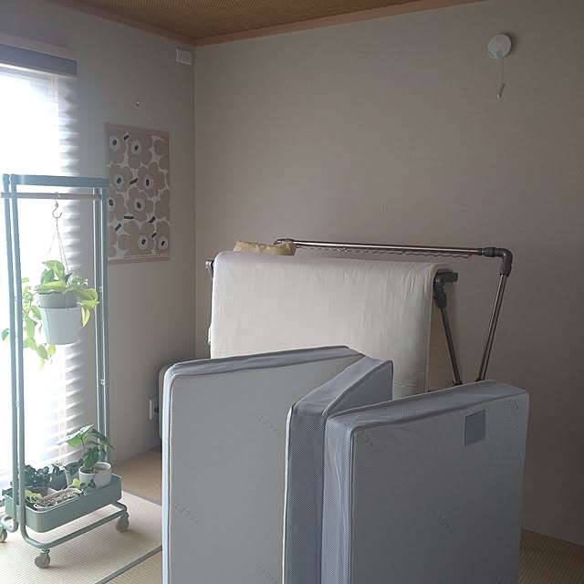 Bedroom,湿気対策,心地よい空間,快適に暮らしたい,複数枚投稿,スッキリ整える,植物のある暮らし,観葉植物,心地よい暮らし,快適な暮らし,ハンガーワゴン,マットレス,布団干し,マリメッコ,タペストリー tan5の部屋