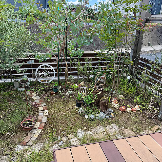 ベランダから見下ろした庭,草引き日和,雨上がり,雑草のある暮らし,雑草ボーボー,雑草だらけ,雑草との闘い,草引き,掃除,庭活2025,庭活,朝活,Bathroom ayayayayaの部屋