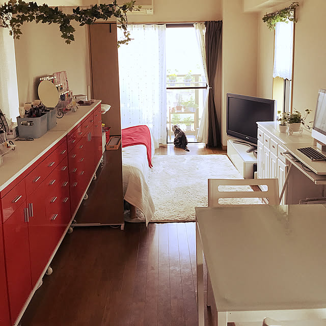Overview,1K,ニトリ,フェイクグリーン rikineiの部屋