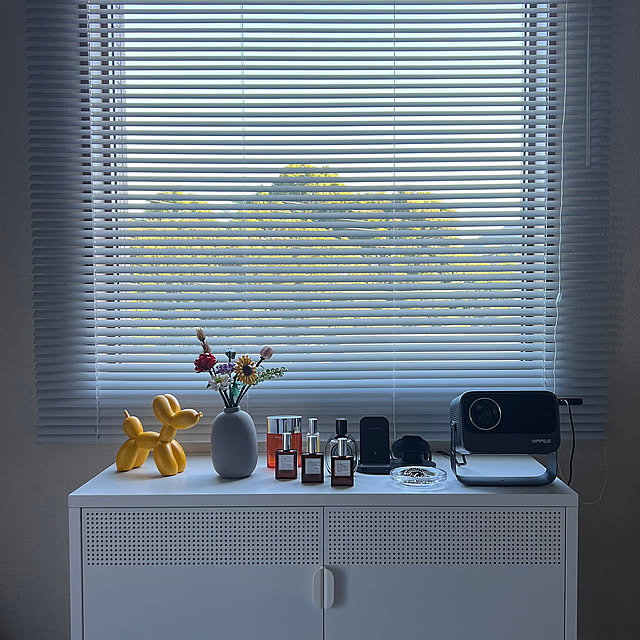 On Walls,ブロックフラワー,一人暮らし,プロジェクター,雑貨,ホワイトインテリア,ドライフラワー yoの部屋