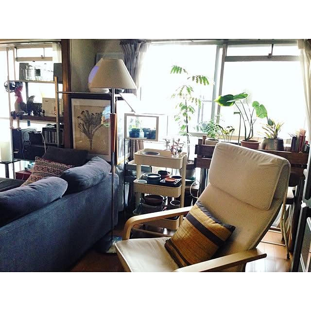 観葉植物,植物のある暮らし,ig→hitorururu,IKEA,アームチェア,ポスター,Lounge hittonの部屋