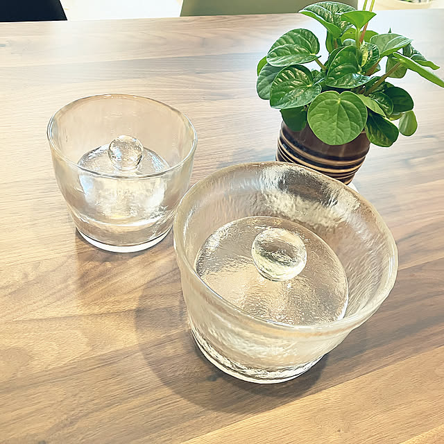 Kitchen,漬物鉢,KINTO,RoomClipアンケート,観葉植物,建売,ペペロミア qp_ktbnの部屋