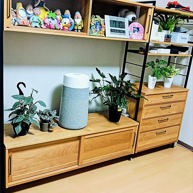 Lounge,シンプルな暮らし,シンプルな生活,健康生活,健康管理,時系列前後します,とある日の出来事,シンプルライフ,モモナチュラル,モモナチュラルの家具,モモナチュラルのテレビボード,モモナチュラルのチェスト,モモナチュラル テレビボード,モモナチュラルの棚,モモナチュラルチェスト,観葉植物♡,観葉植物のある暮らし,観葉植物のある生活,観葉植物のある部屋,観葉植物増やしたい,観葉植物と暮らす,観葉植物置き場,新入りさん♡ hanachanの部屋