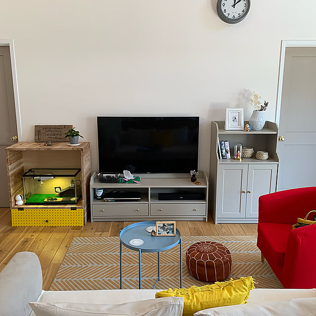 DIY,リクガメ,リクガメのおうち,ジェックス,リクガメ用ラック,赤いソファー,観葉植物,IKEA,ソファ,Lounge hotokeの部屋