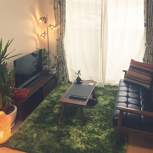 Overview,カリモク60 Ｋチェア,一人暮らし,照明,ニトリ,100均,観葉植物,ソファ,IKEA pir0fumiの部屋