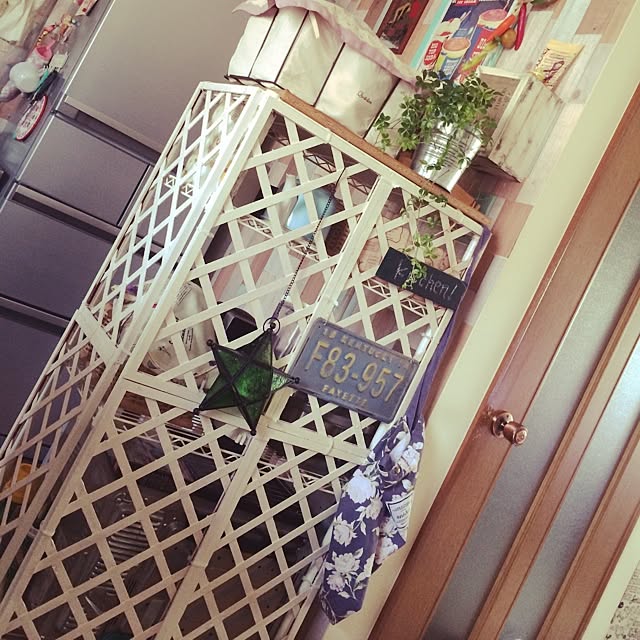 Kitchen,セリア,DIY,観葉植物,sulut!,照明,メタルラックの隠しカバー,salut! painmomoの部屋