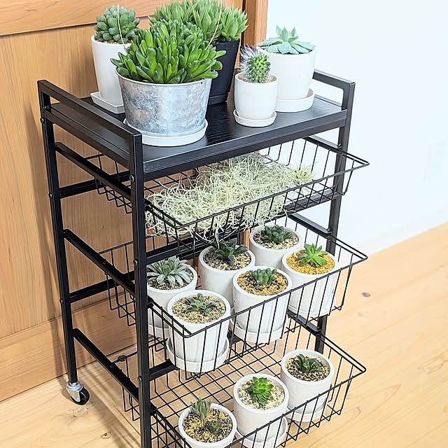 Lounge,観葉植物のある暮らし,収納,キッチンワゴン,すっきり暮らす,タマリビング PEROの部屋