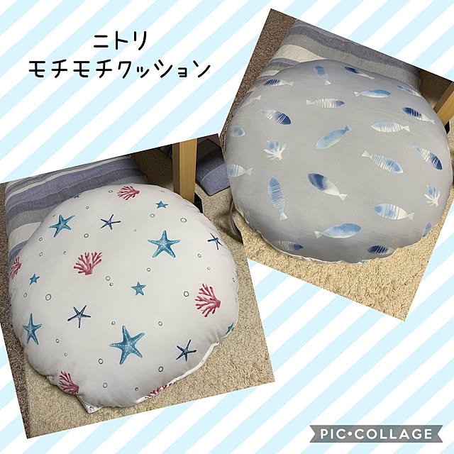 Nクール,モチモチクッション,新商品,北欧,ニトリ,北欧好き,団地住まい,イベント参加,Lounge miyumiyuの部屋
