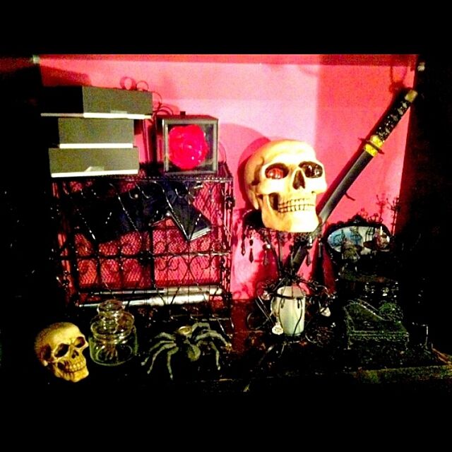My Shelf,蜘蛛,紫,刀,標本,髑髏,ピンク,ゴシック,薔薇 hysteric_eveの部屋
